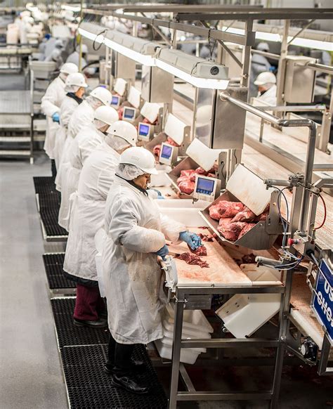 meat processing systems